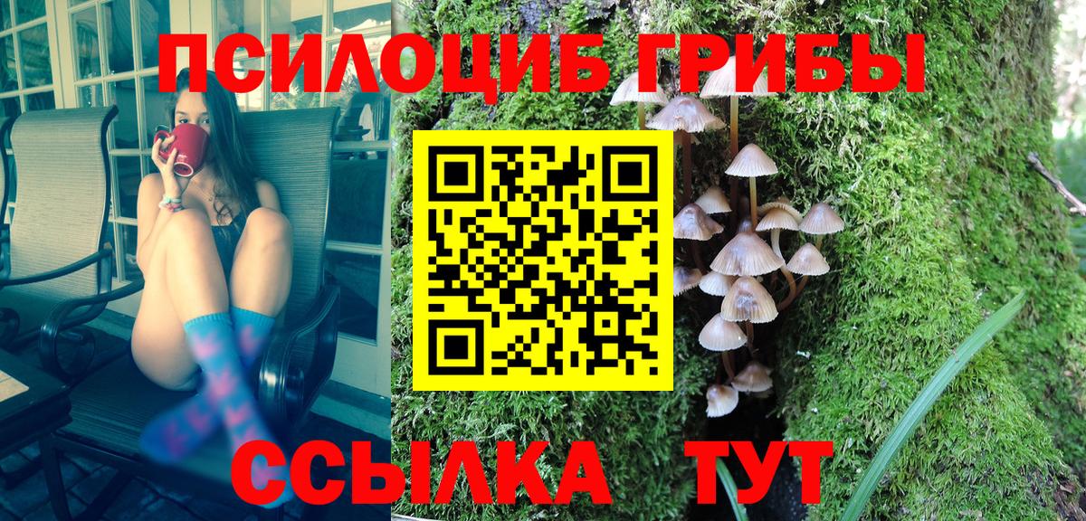 Пушкино  Галлюциногенные грибы MAGIC MUSHROOMS  Вход с VPN 
